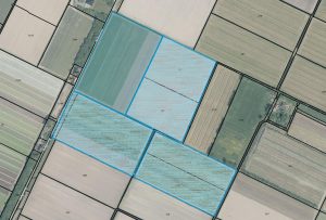 15,3 ha. bollengrond te Burgerbrug
